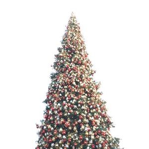 Meet your Posher, Tricia